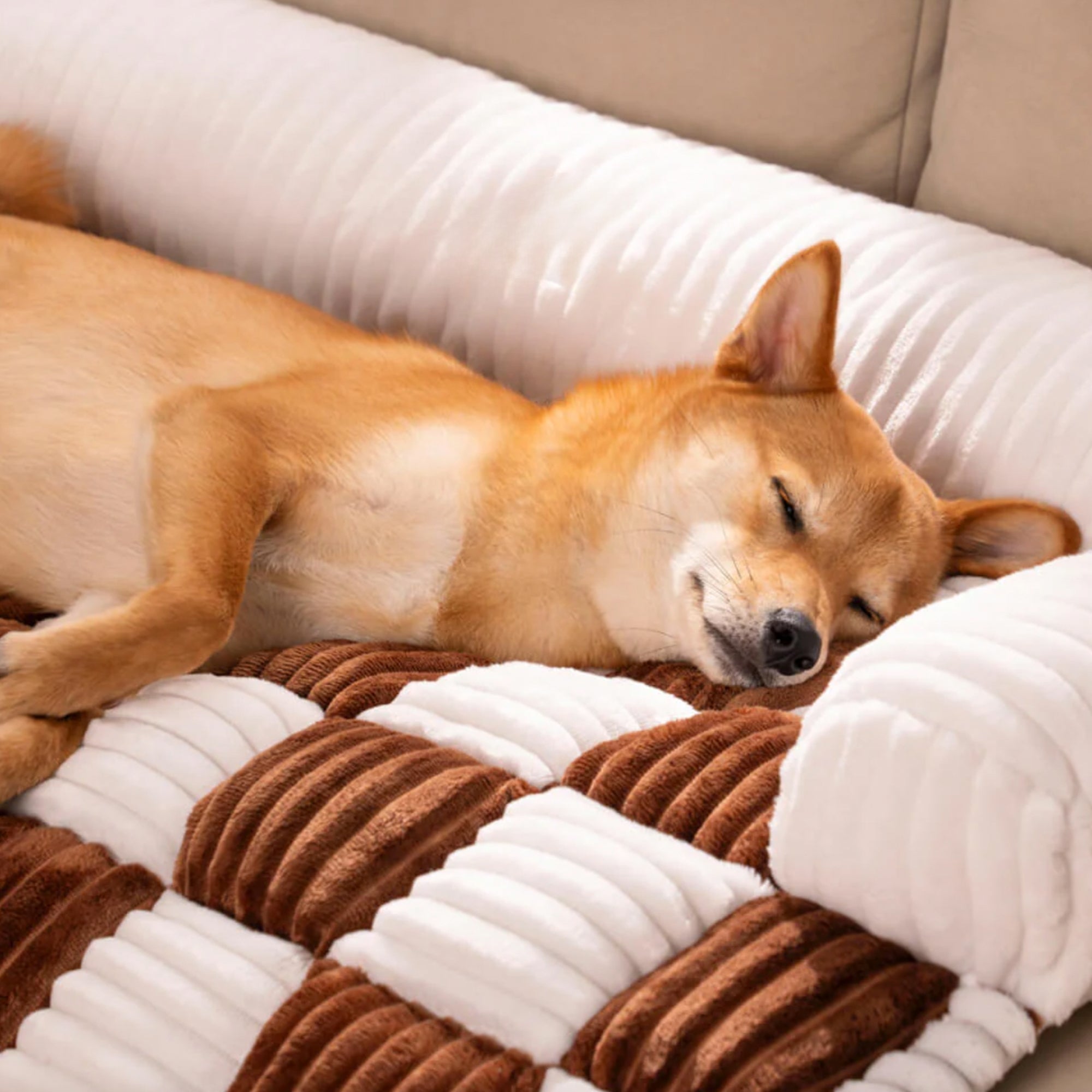 Hund schläft auf cremefarbenem kariertem Hundebett, Möbel-Schutzdecke, gemütlich, weich.