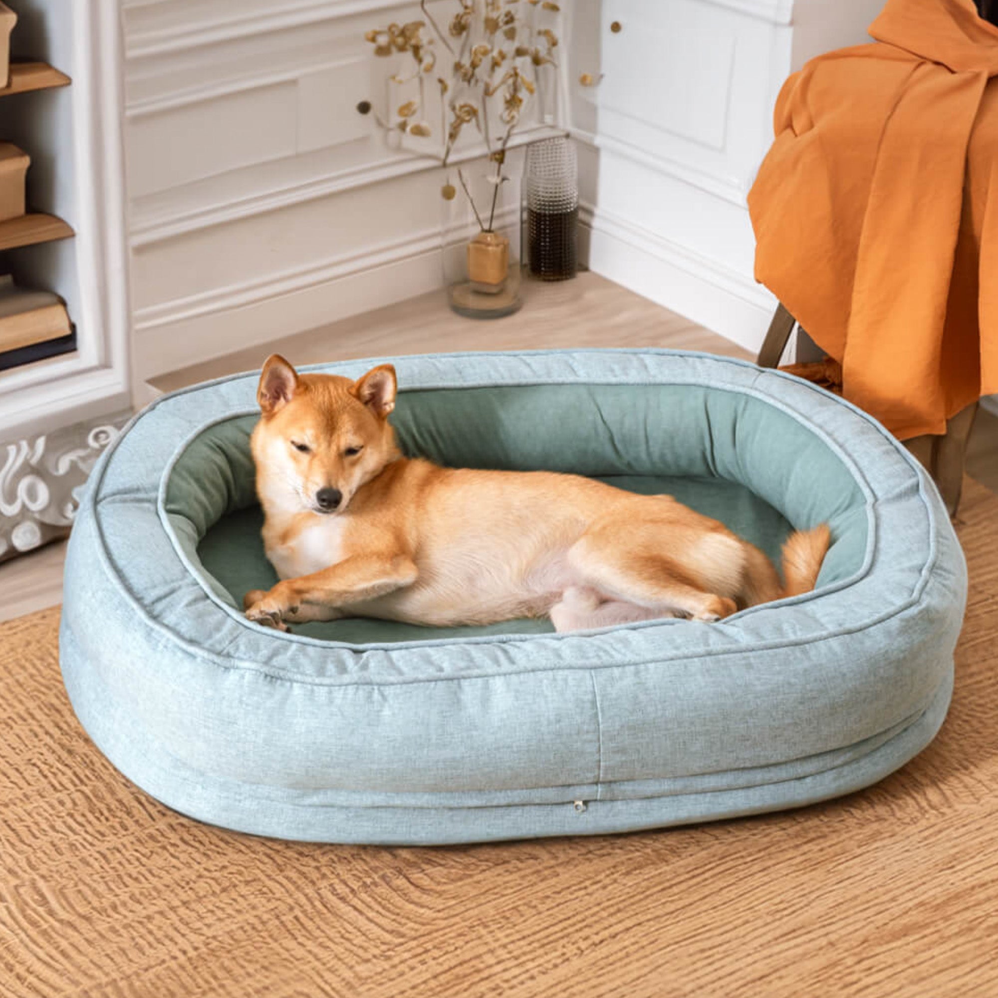 Hundebett in Donut-Form, hellblau, gemütlich, hochwertig, für Haustiere, Wohnzimmer.