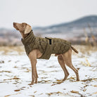 Hund im Wintermantel auf schneebedecktem Feld, Weimaraner, Outdoor-Hundebekleidung, warm, stilvoll, funktional, Wintermode für Hunde.