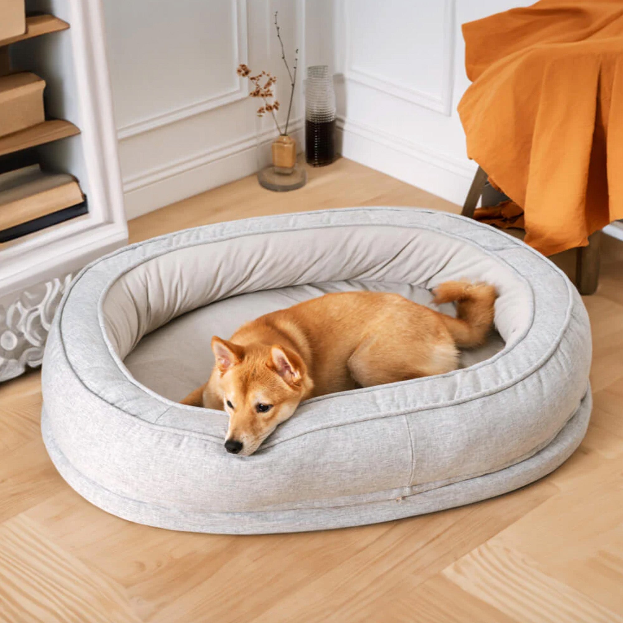 Hund auf grauem, gemütlichem Donut-Hundebett im Wohnzimmer, stilvoll und komfortabel.