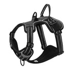Schwarzes Hundegeschirr mit reflektierenden Streifen, verstellbar, robustes Material.