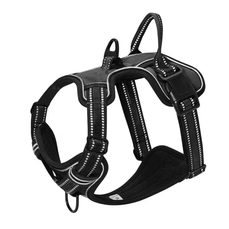 Schwarzes Hundegeschirr mit reflektierenden Streifen, verstellbar, robustes Material.