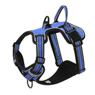 Blaues Hundegeschirr, reflektierend, verstellbar, strapazierfähig, für sicheres Hundetraining.