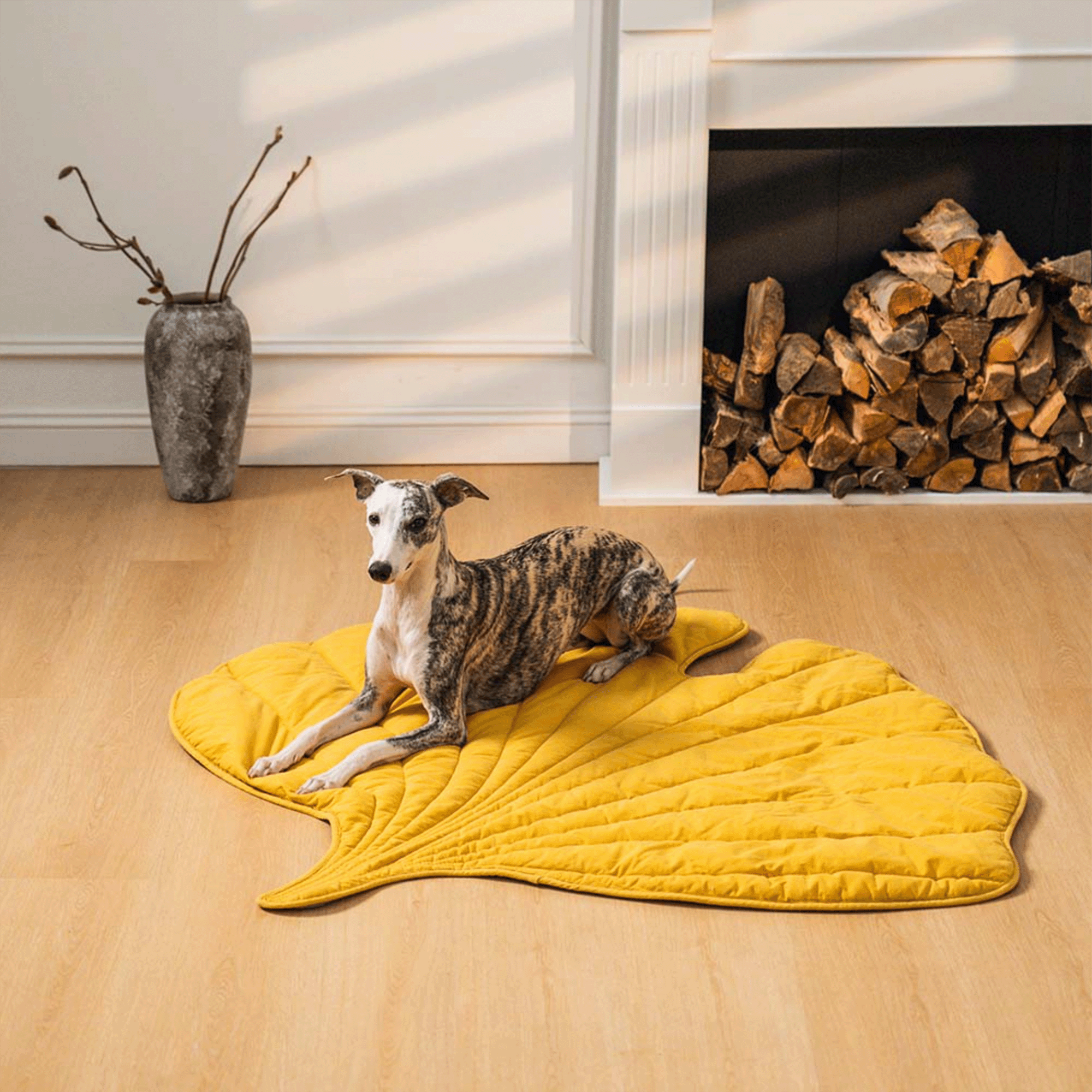 Hund auf gelber Blatt-Teppichmatte vor Kamin, modernes Wohnzimmer, Haustierdekor.