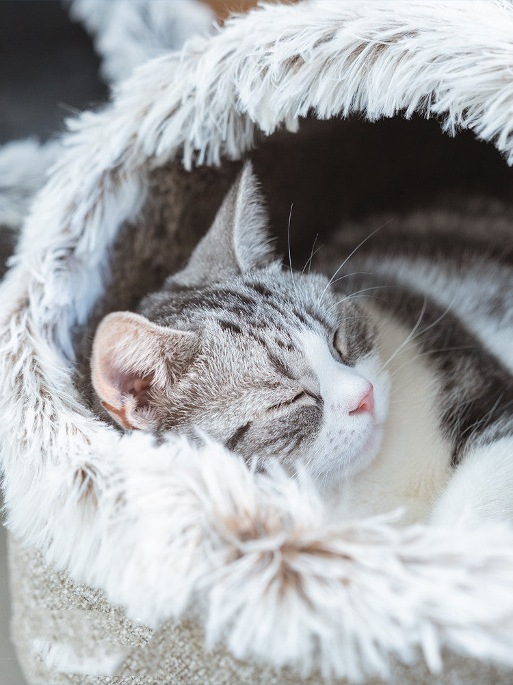 Schlafende Katze in flauschigem Katzenbett, grau-weiß, gemütlich, Haustier, Entspannung.