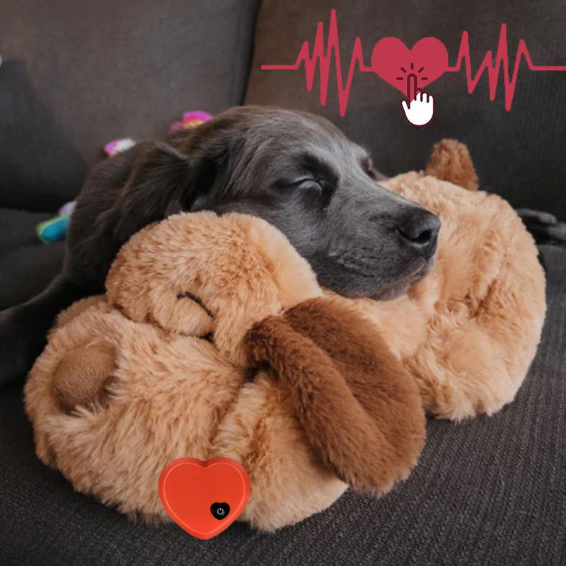 Schlafender Hund kuschelt mit Plüschhund auf Sofa, Herzsymbol und Herzschlaggrafik. Perfektes Geschenk für Tierliebhaber, beruhigend und süß.