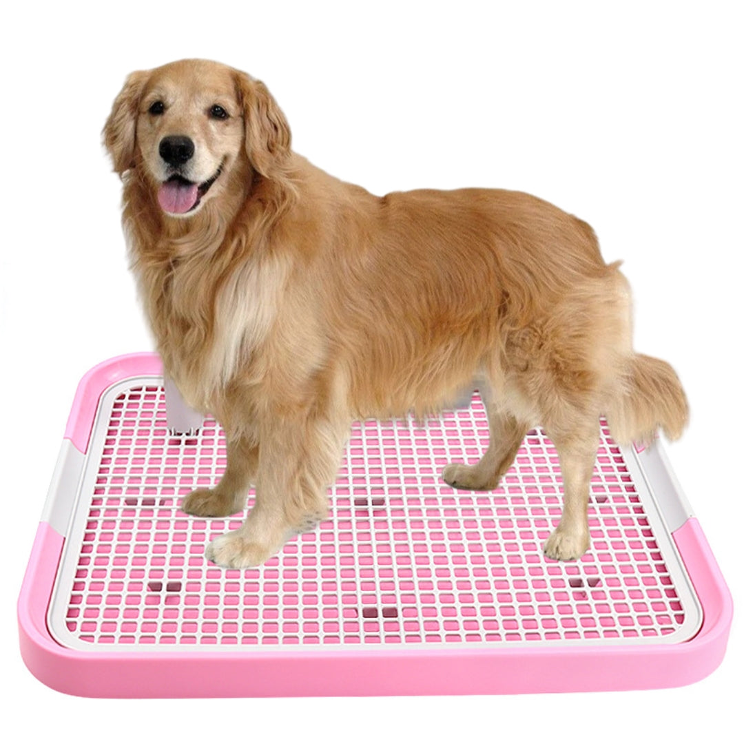 Goldener Retriever auf rosa Hundetoilette. Perfekt für Welpentraining und Indoor-Hygiene. Praktisches Haustierzubehör für saubere Böden.