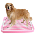 Goldener Retriever auf rosa Hundetoilette. Perfekt für Welpentraining und Indoor-Hygiene. Praktisches Haustierzubehör für saubere Böden.