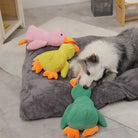 Hund spielt mit bunten Plüschenten auf grauem Kissen. Weiches Hundespielzeug, interaktives Spiel, Haustierbedarf, Plüschtiere für Hunde.
