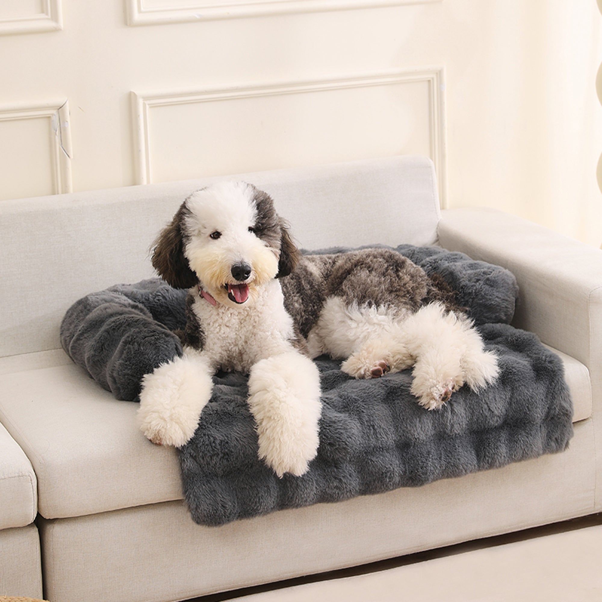 Hund auf grauem, flauschigem Haustierbett auf Sofa, gemütlich, komfortabel, Heimdekoration.