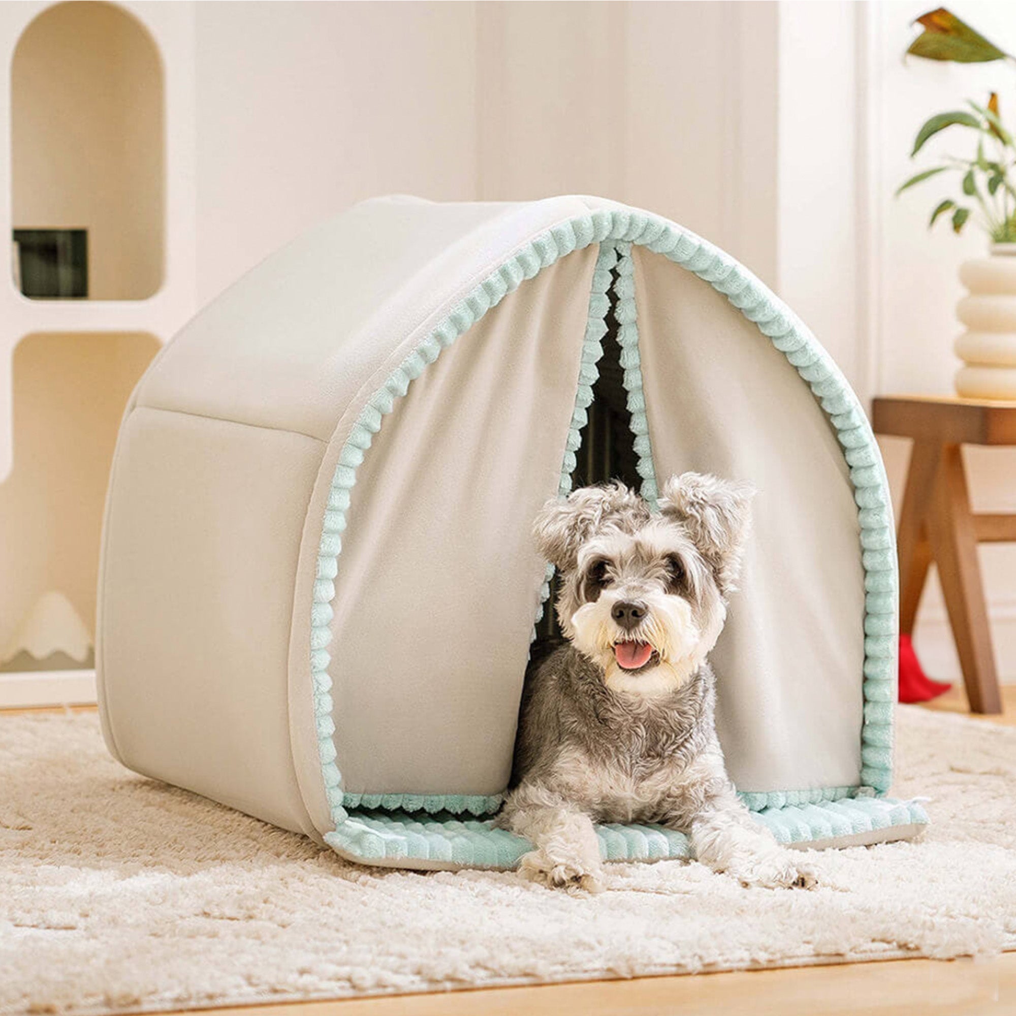 Hund in grauem, geschlossenem Hundebett mit Vorhang, gemütliches Haustierhaus, Wohnzimmer.