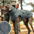 Grauer Hundemantel mit Steppmuster, ideal für kaltes Wetter. Wasserabweisend, warm und stilvoll. Perfekt für Outdoor-Aktivitäten mit Hunden.