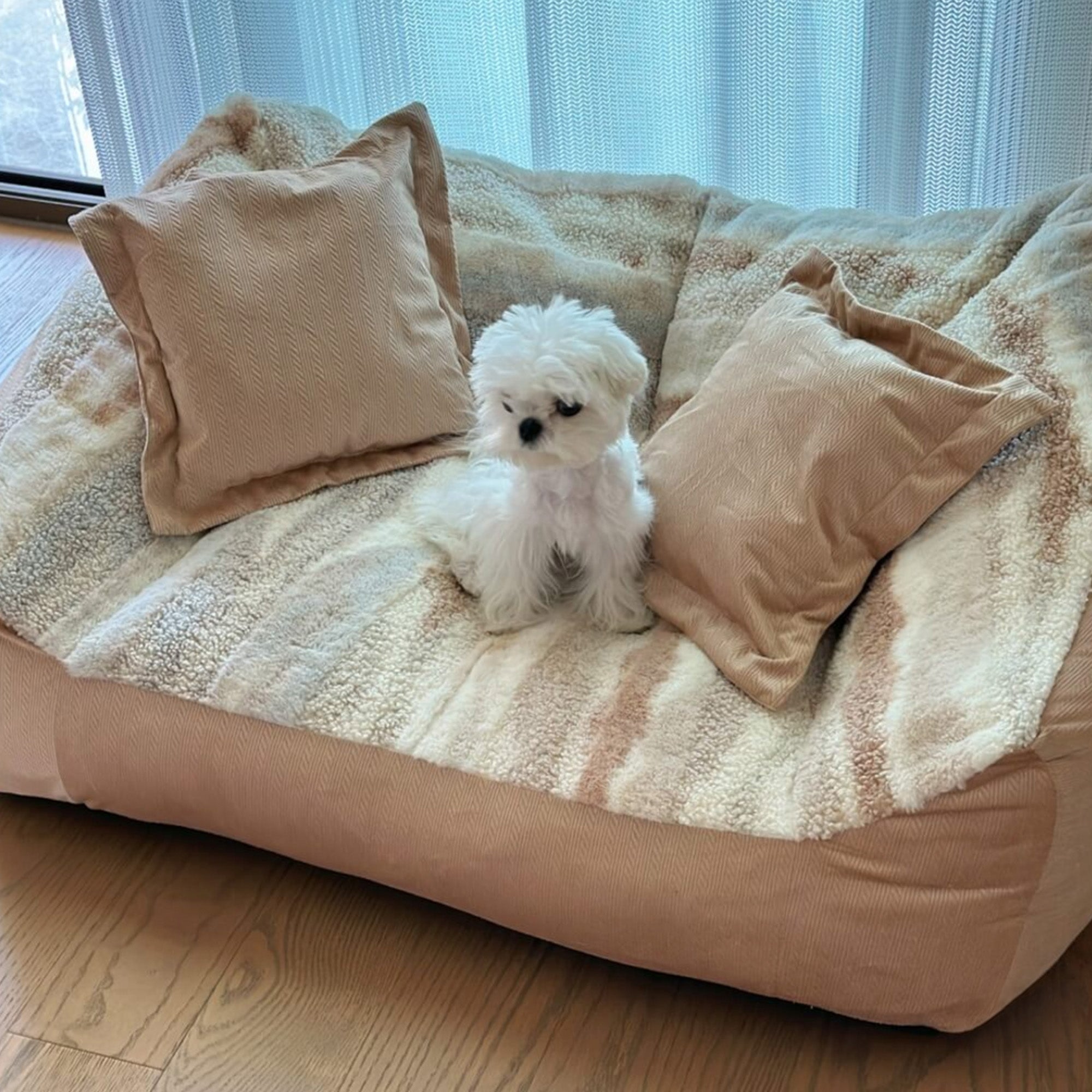 Kleiner weißer Hund auf beige Hundesofa aus Fleece mit Kissen, gemütliches Haustierbett.