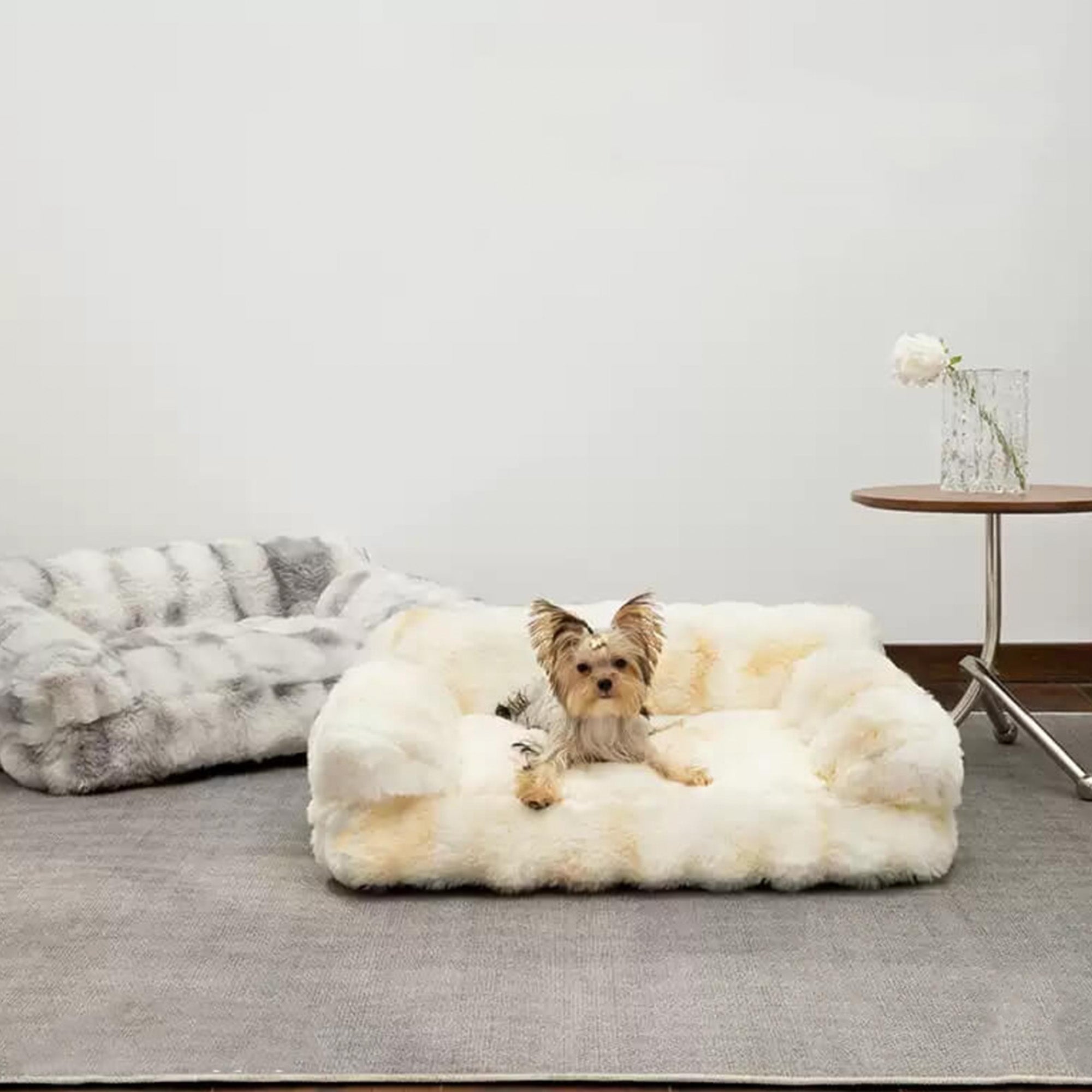 Kuscheliges, dickes, beruhigendes Haustierbett aus Plüsch für Hunde und Katzen, cremefarben.