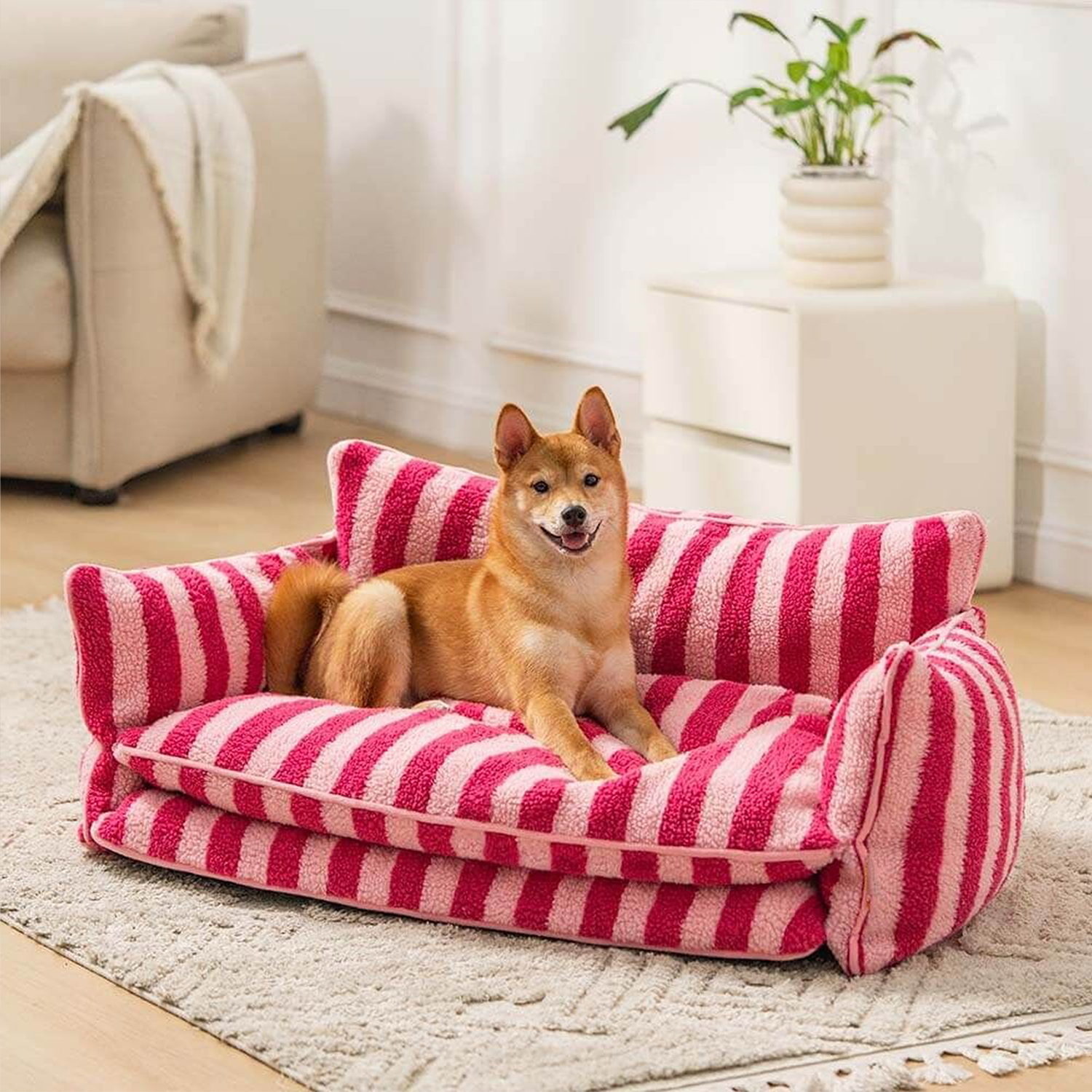 Hund auf rosa-weiß gestreiftem Lammwollsofa, gemütliches Haustierbett, Wohnzimmer.