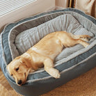 Goldener Retriever auf grauem orthopädischen Hundebett, gemütlich und warm, im Wohnzimmer.