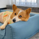 Corgi auf blauem, wasserdichtem, abnehmbarem, rutschfestem orthopädischem Hundesofa aus Oxford-Stoff.