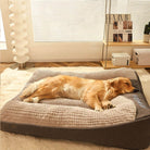 Hund schläft auf orthopädischem Hundebett, grau, bequem, Premium-Komfort, Wohnzimmer.