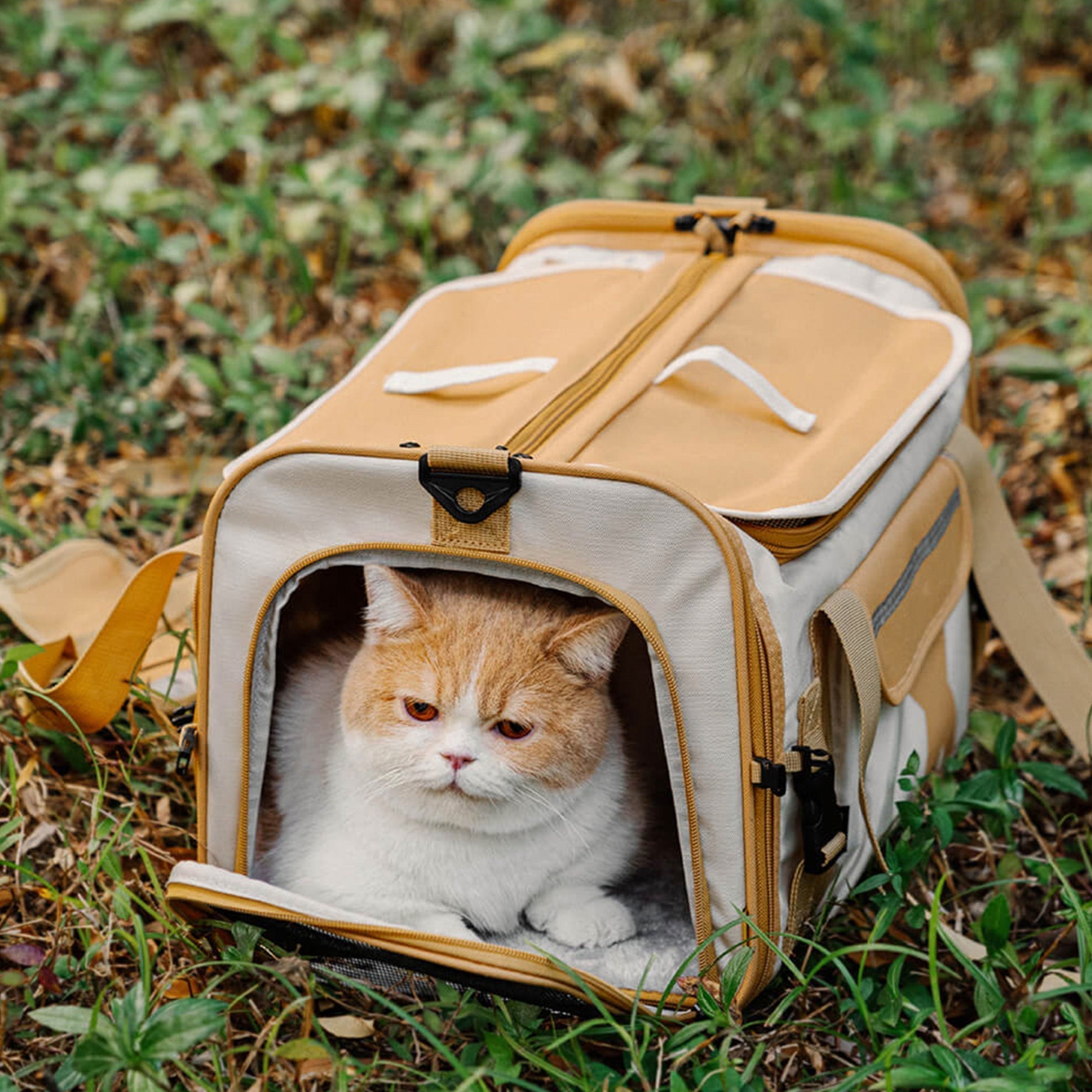 Tragbare faltbare Designer-Haustiertasche, beige, atmungsaktiv, für Katzen, auf Gras.