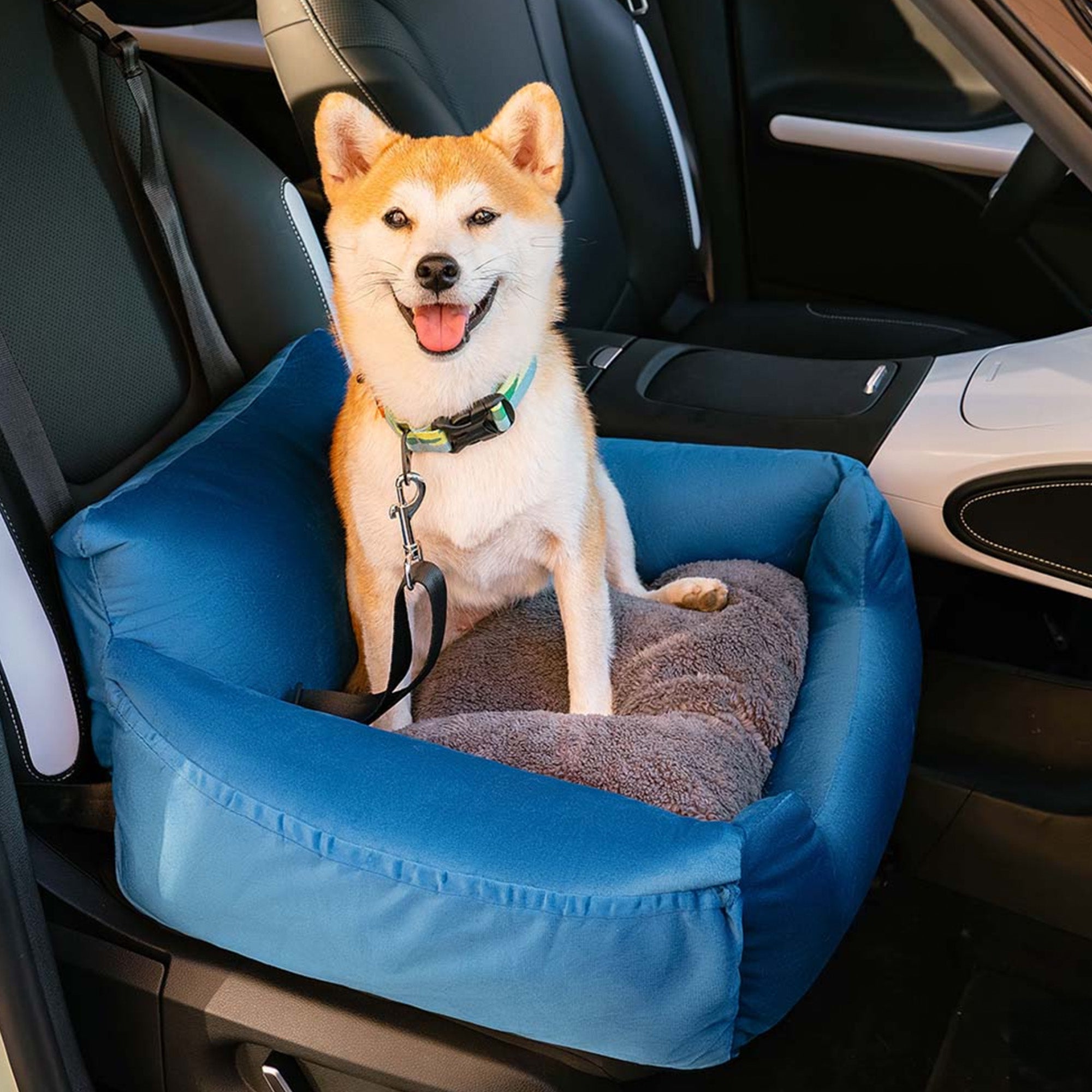 Hundebett Auto, blau, abnehmbar, Sicherheitsbett für große Hunde, bequem, Reisen.