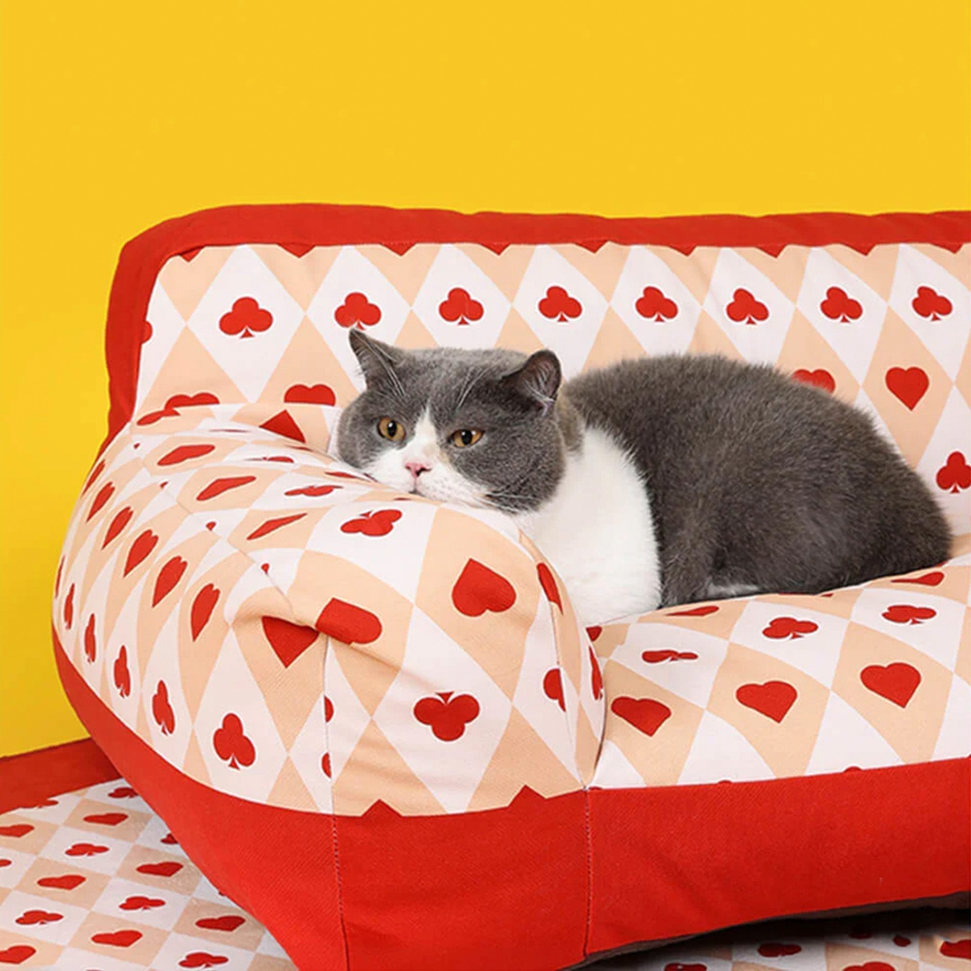 Graue Katze auf rotem Herz-Poker-Haustiersofa, gemütliches Design, gelber Hintergrund.