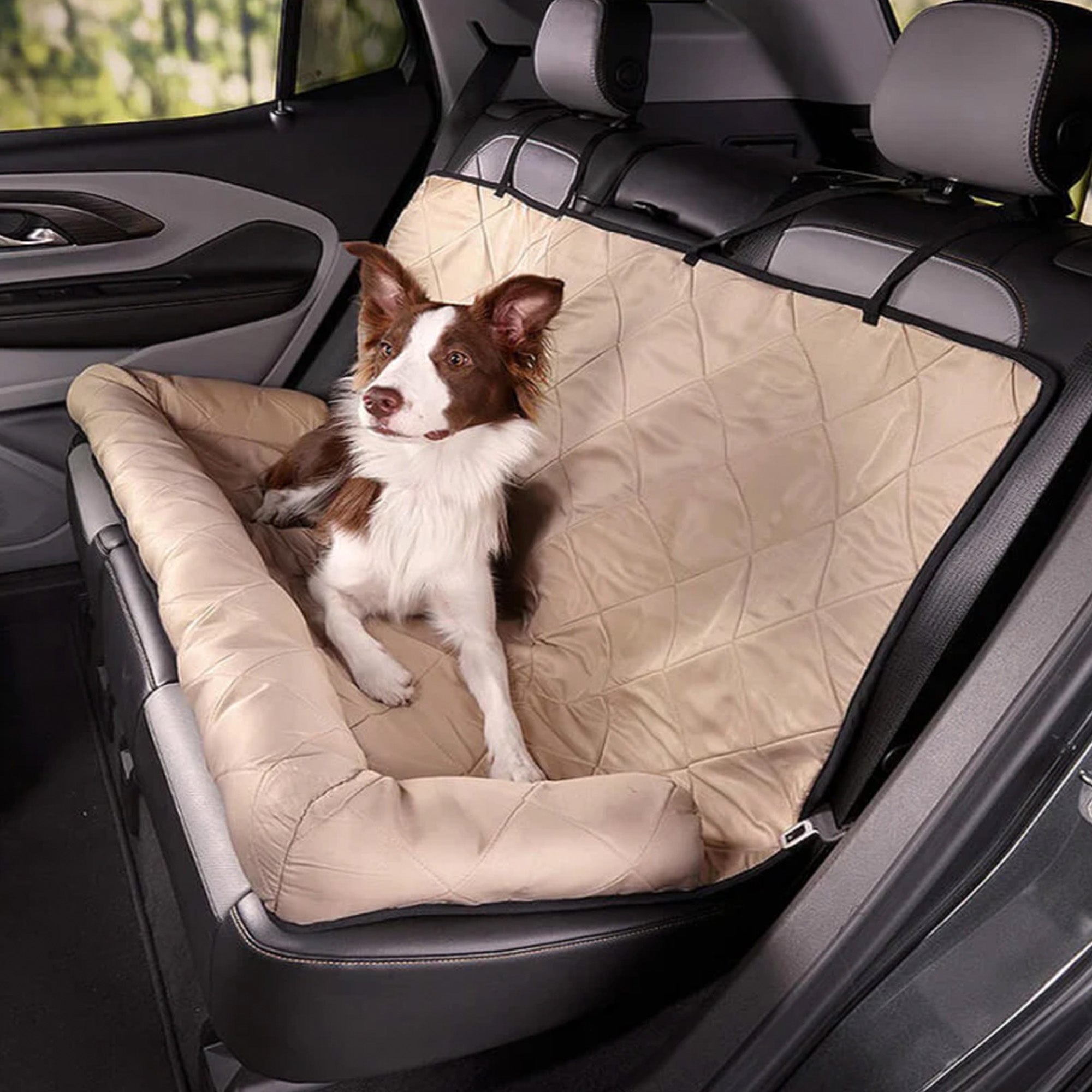 Hund auf beigem Autositzschutz, Rückbank, Sicherheitsbett für mittelgroße Hunde, Reisen.