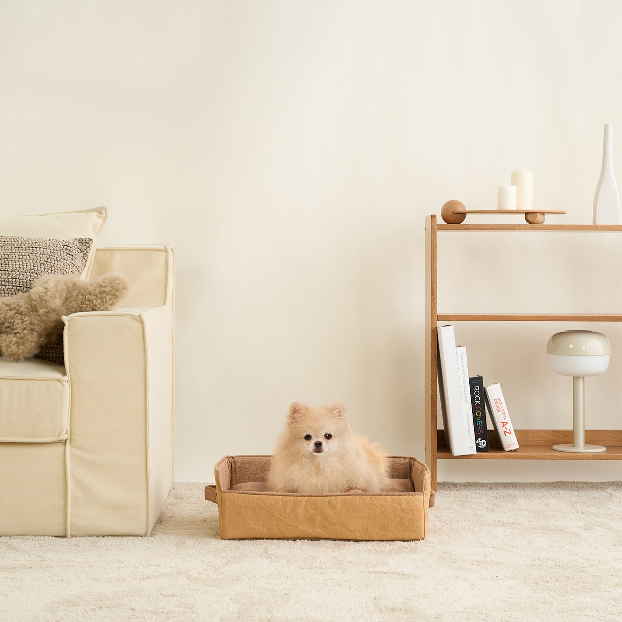 Faltbares Haustierbett beige, tragbar, ideal für Reisen, kleiner Hund, modernes Design.
