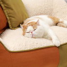 Schlafende Katze auf gemütlichem, mehrfarbigem Haustier-Sofa mit Kissen, beige und orange.