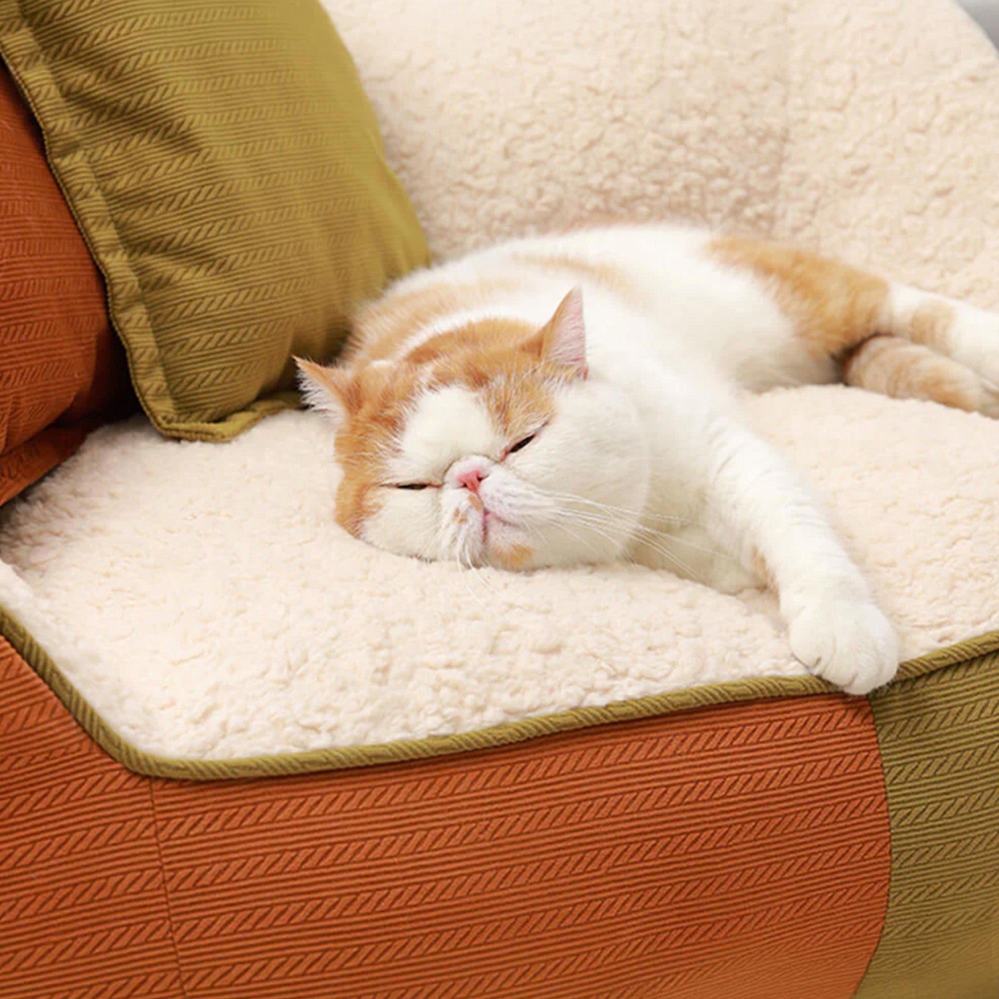 Schlafende Katze auf gemütlichem, mehrfarbigem Haustier-Sofa mit Kissen, beige und orange.