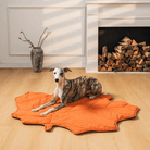 Hund auf orangefarbenem Blatt-Teppich vor Kamin, modernes Wohnzimmer, Haustiermatte.