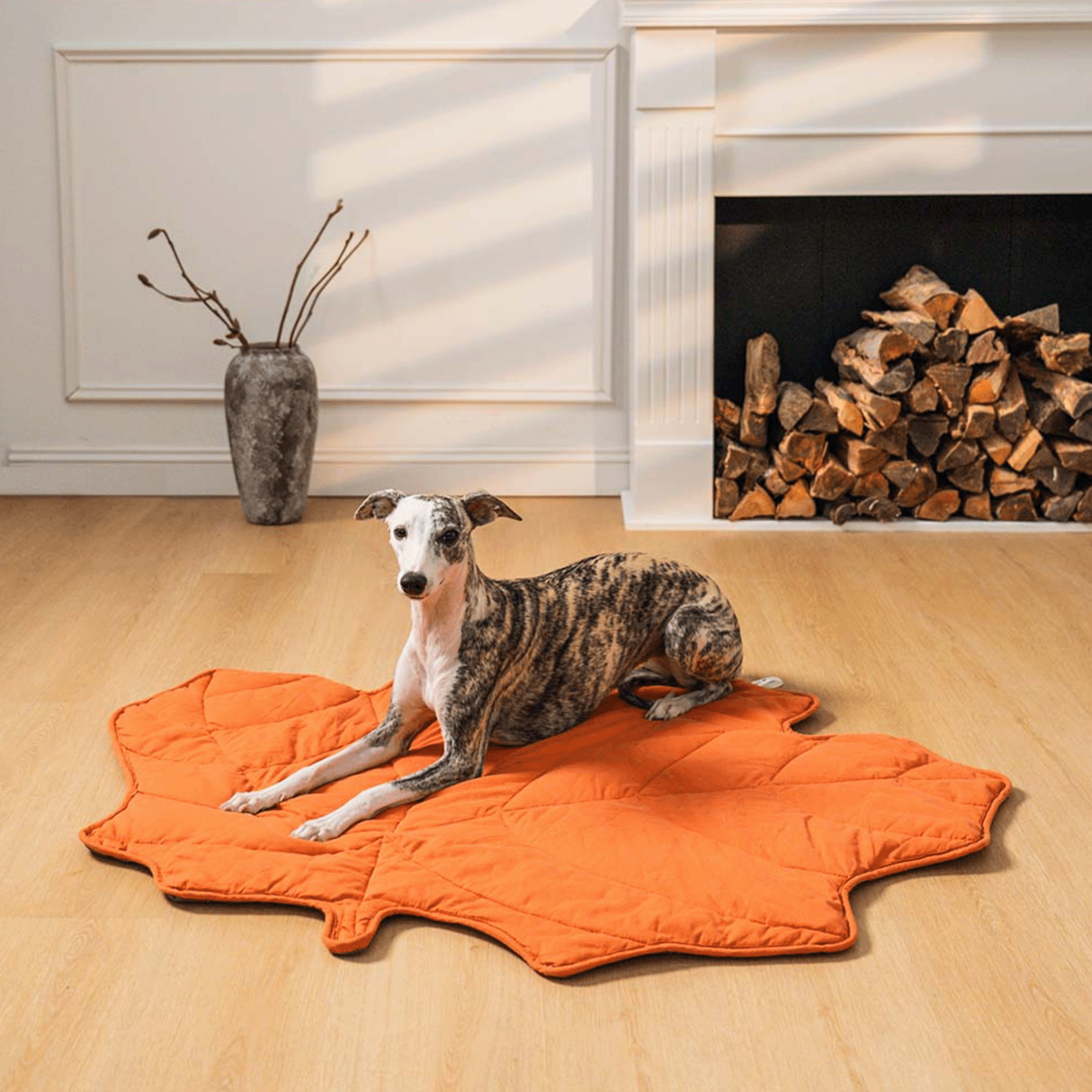 Hund auf orangefarbenem Blatt-Teppich vor Kamin, modernes Wohnzimmer, Haustiermatte.