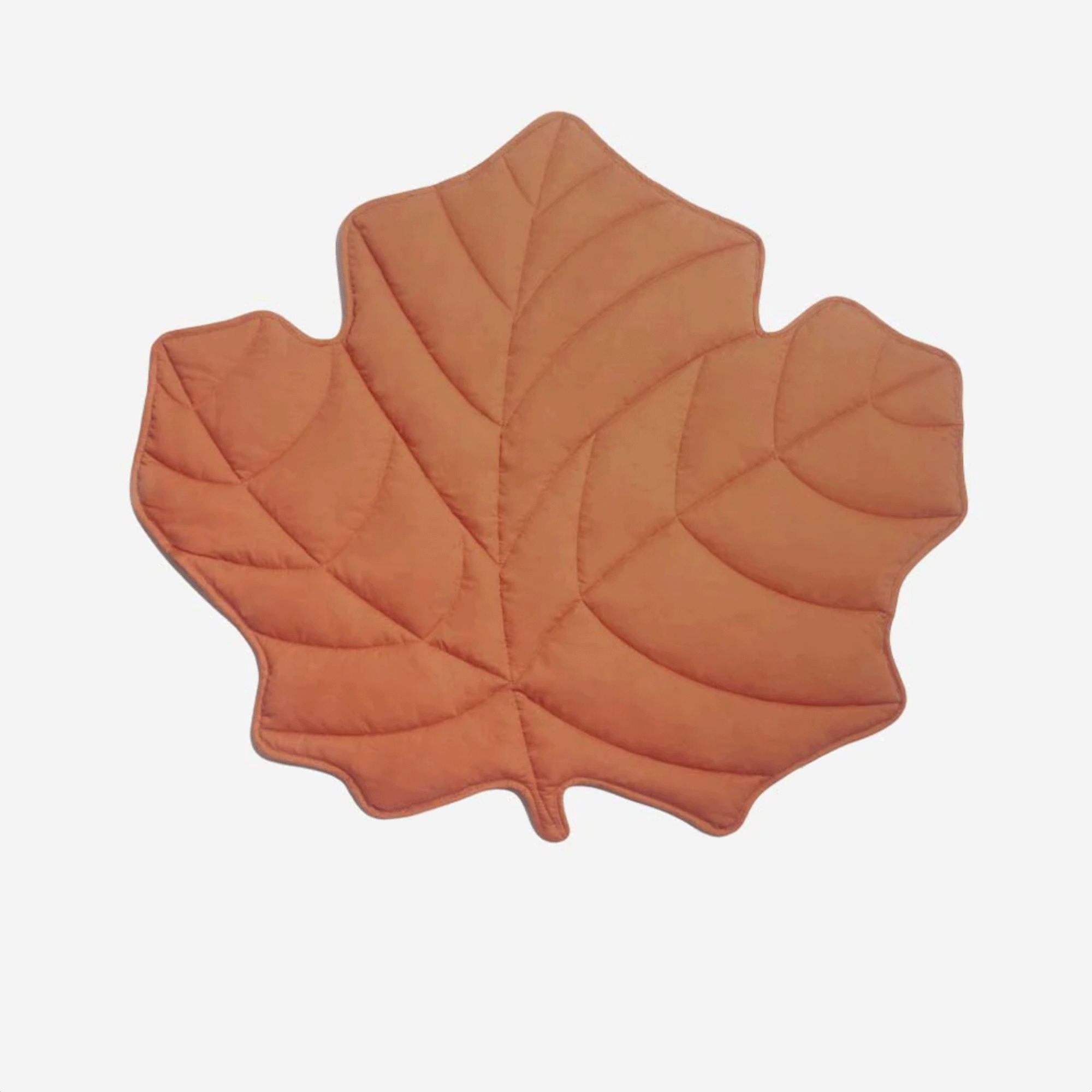 Orangefarbenes Blatt-förmiges Haustiermatte, Herbstdesign, weiches Material, dekorativ.