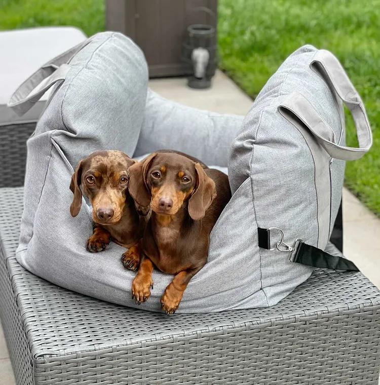 Zwei braune Dackel auf grauem Hundebett im Freien, gemütlich und entspannt.