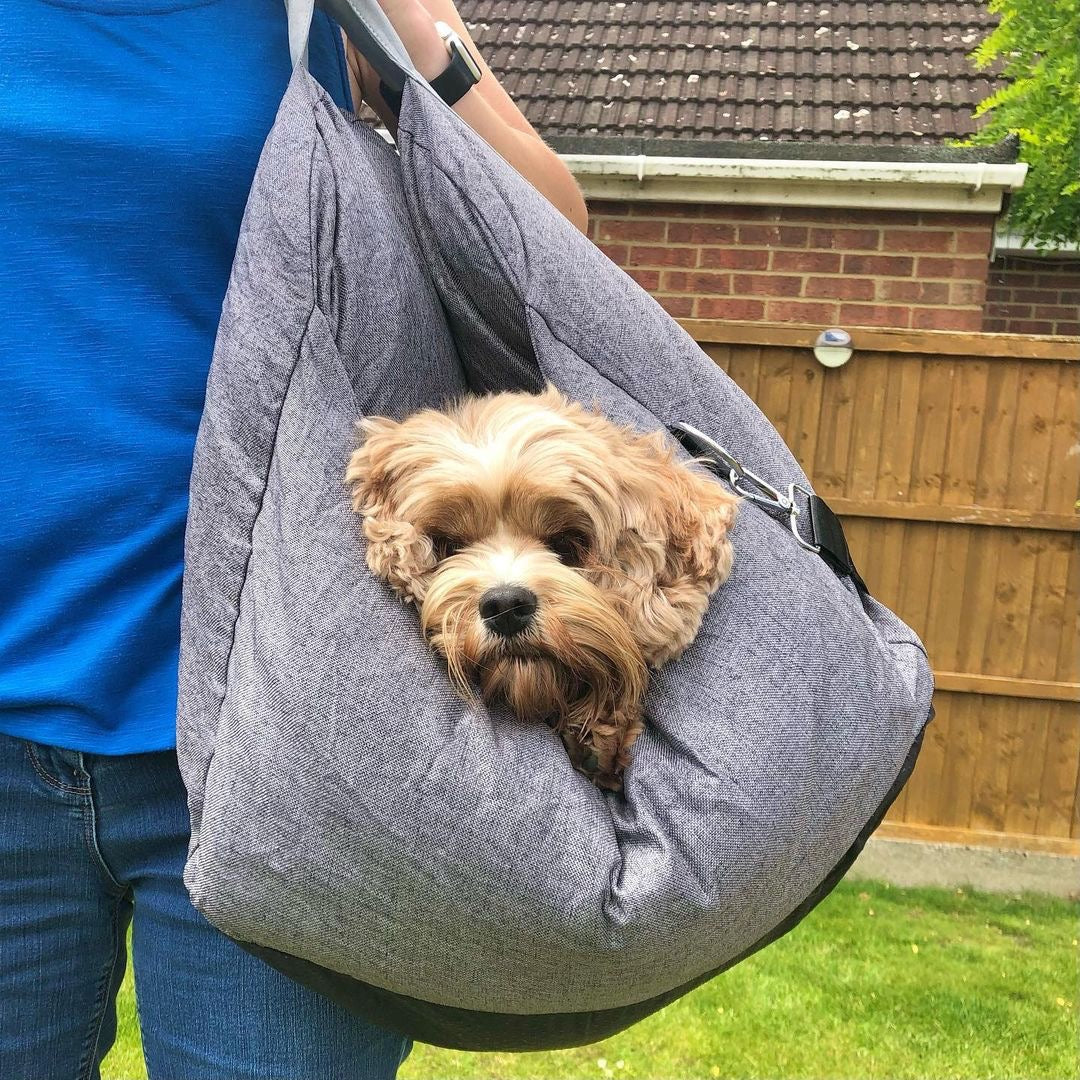 Kleiner brauner Cavapoo-Hund in grauer Tragetasche im Garten.