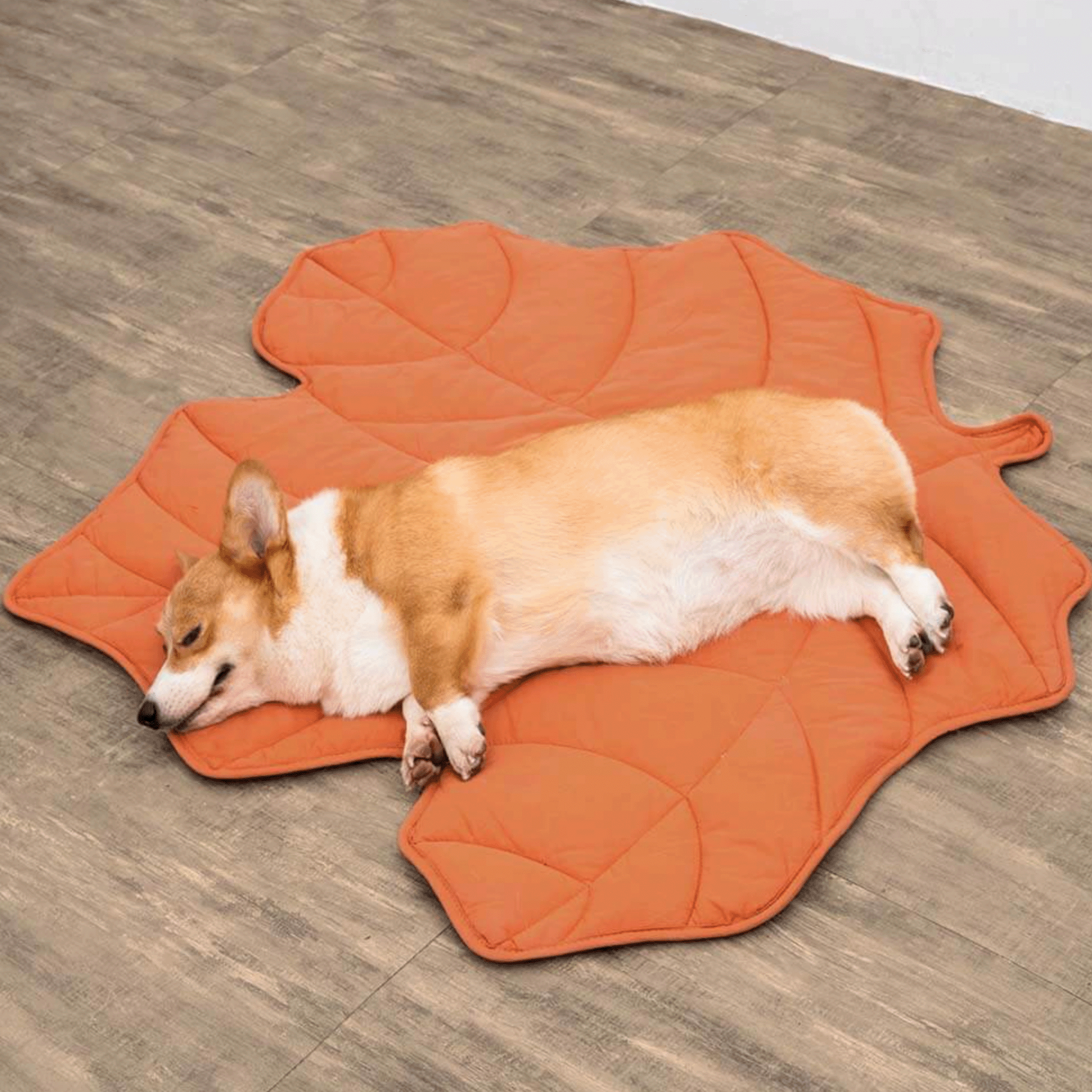 Corgi schläft auf orangefarbenem, blattförmigem Haustierbett auf Holzboden.