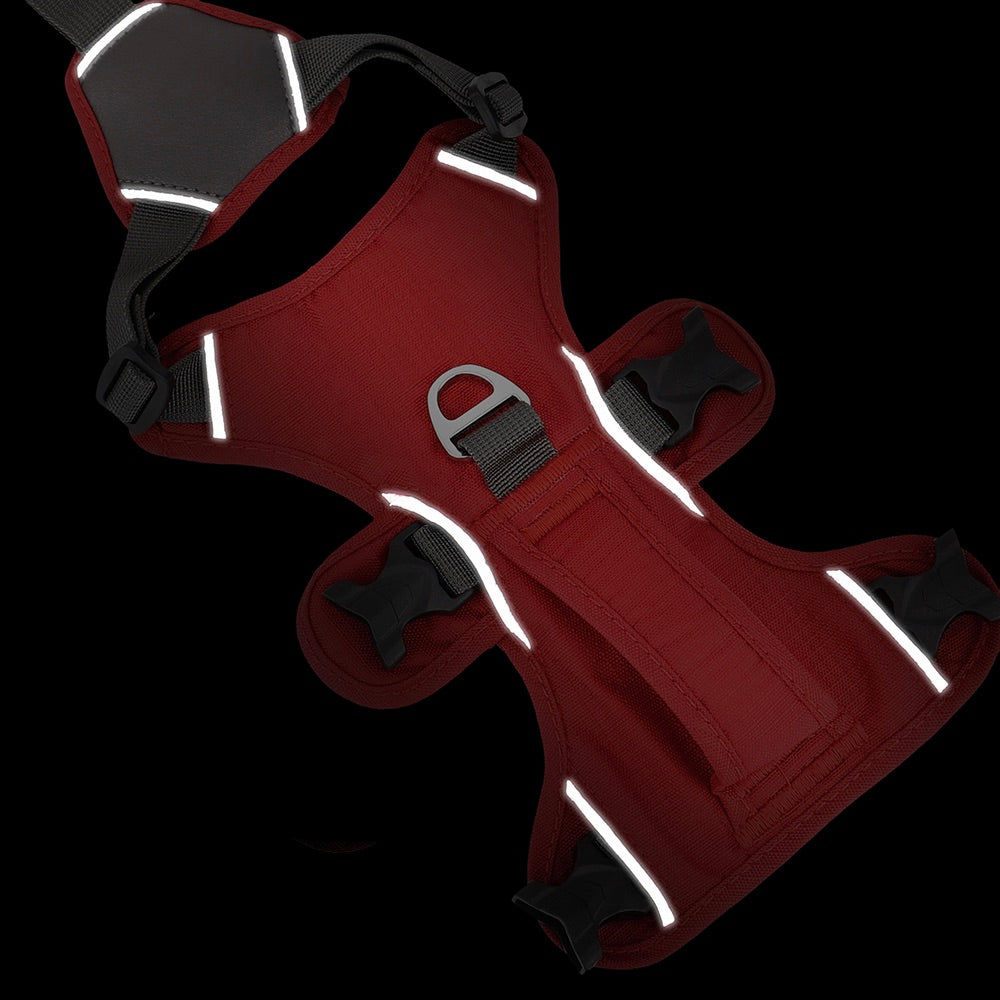 Rotes Hundegeschirr mit reflektierenden Streifen, verstellbaren Gurten und robustem D-Ring. Ideal für sicheres Gassigehen bei Nacht.