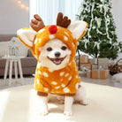Kleiner Hund im Rentierkostüm vor Weihnachtsbaum, lächelnd. Perfekt für festliche Haustiermode, Weihnachten, niedliche Hunde, Winteroutfits.