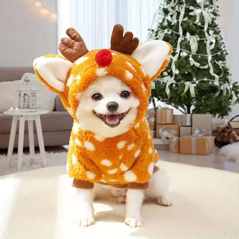 Kleiner Hund im Rentierkostüm vor Weihnachtsbaum, lächelnd. Perfekt für festliche Haustiermode, Weihnachten, niedliche Hunde, Winteroutfits.