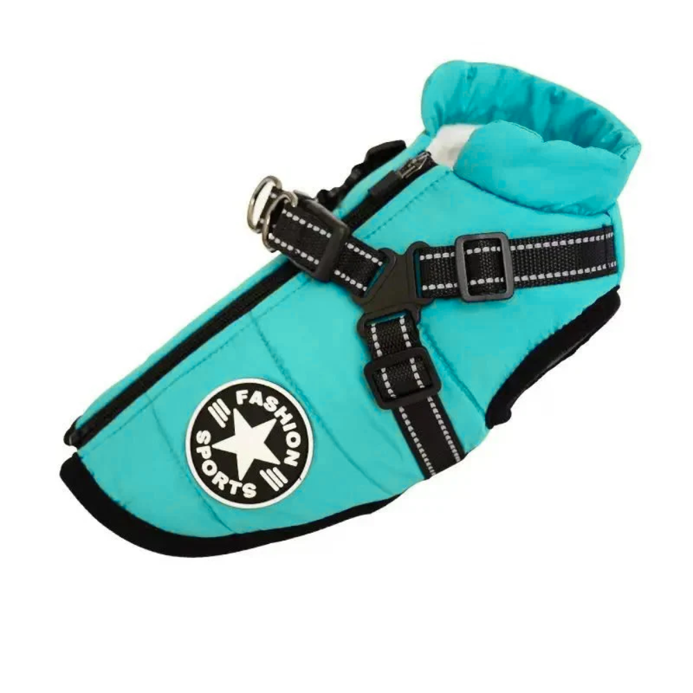 Wasserdichte Hundejacke in Türkis mit verstellbaren Gurten und modischem Aufdruck. Perfekt für kaltes Wetter und Outdoor-Aktivitäten.