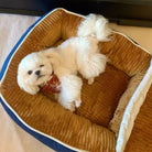 Weißer Hund auf braunem, bootförmigem Haustierbett, bequem, großes Hundebett, Katzenbett.
