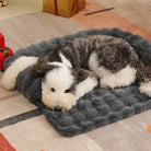 Hund auf grauer, flauschiger Haustiermatte, gemütliches Sofa-Design, ideal für Komfort und Entspannung.