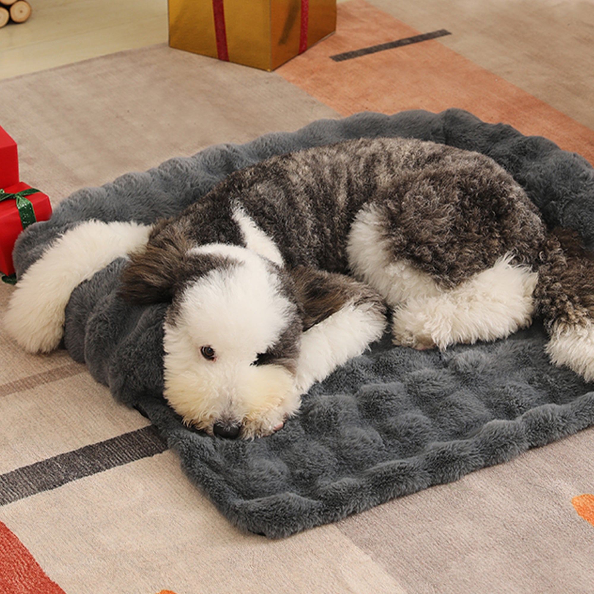 Hund auf grauer, flauschiger Haustiermatte, gemütliches Sofa-Design, ideal für Komfort und Entspannung.