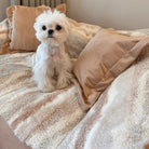 Weißer Hund auf beige-weißem Polar-Fleece-Hundebett mit Kissen, gemütlich, stilvoll.