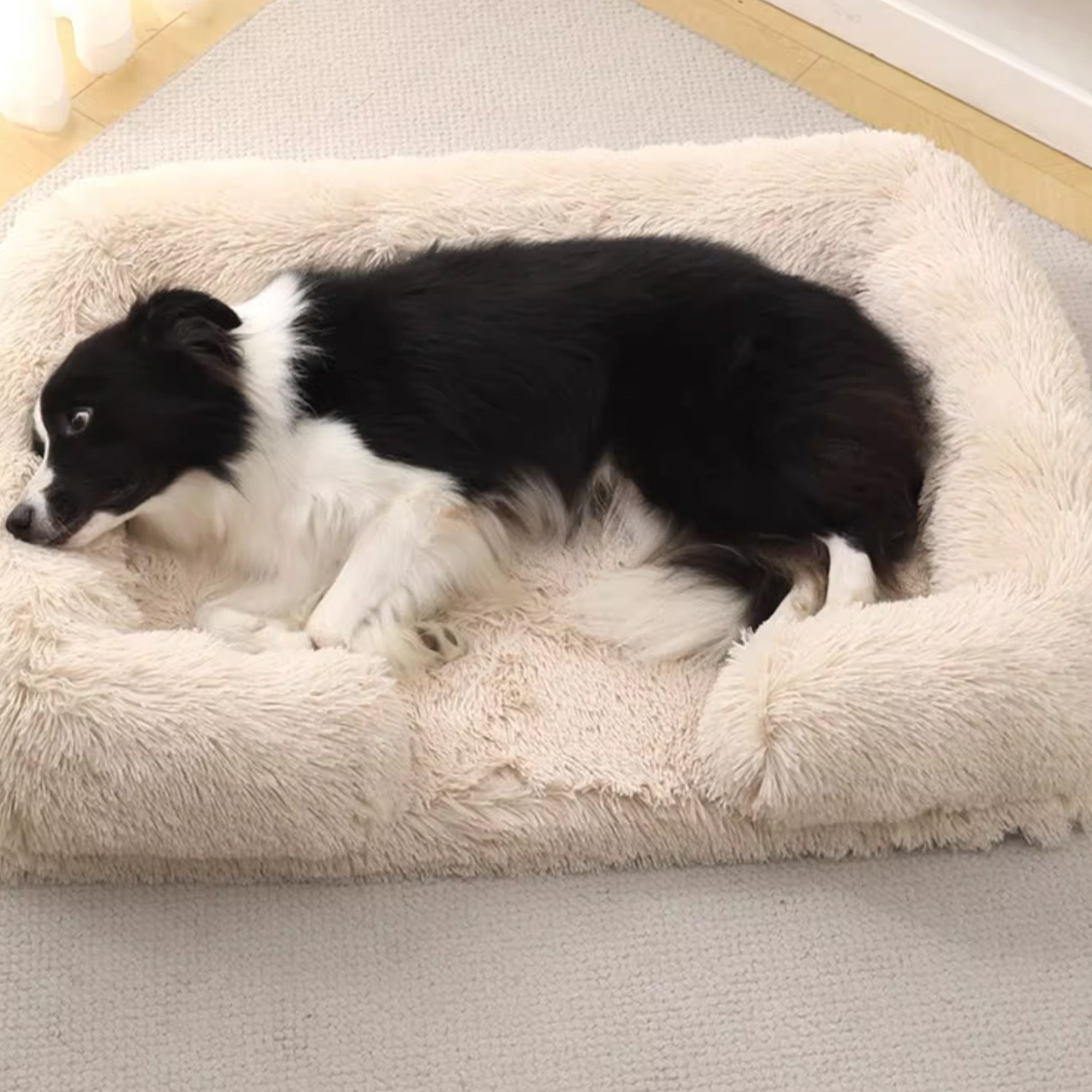Schwarzer Hund auf beigem, plüschigem Hundebett, quadratisch, für tiefen Schlaf, gemütlich.