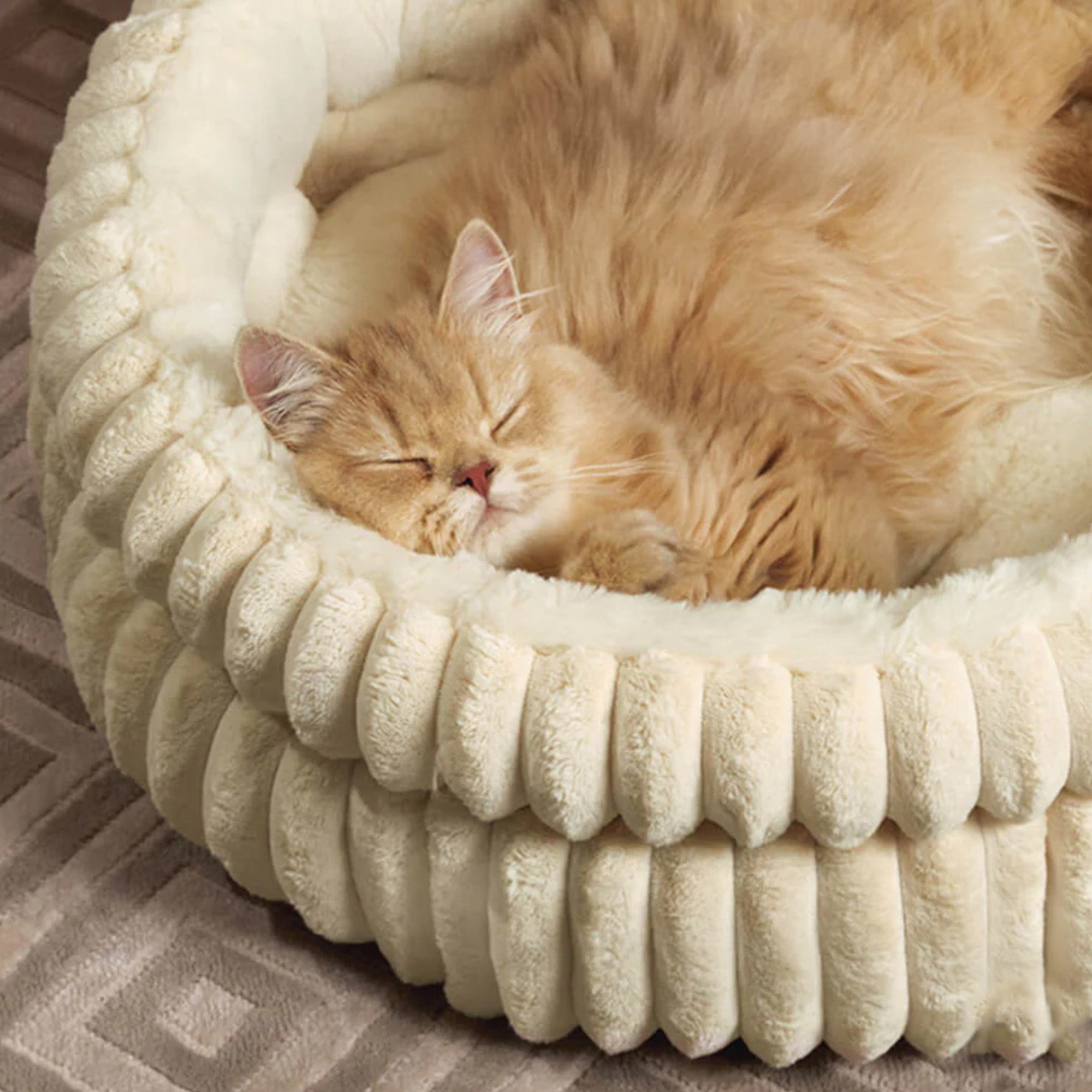 Katzenbett aus Samtimitat in Creme, rund, weich, für Haustiere, gemütlich, luxuriös.