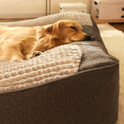 Schlafender Hund auf orthopädischem Hundebett, grau-beige, Premium-Komfort, Wohnzimmer.