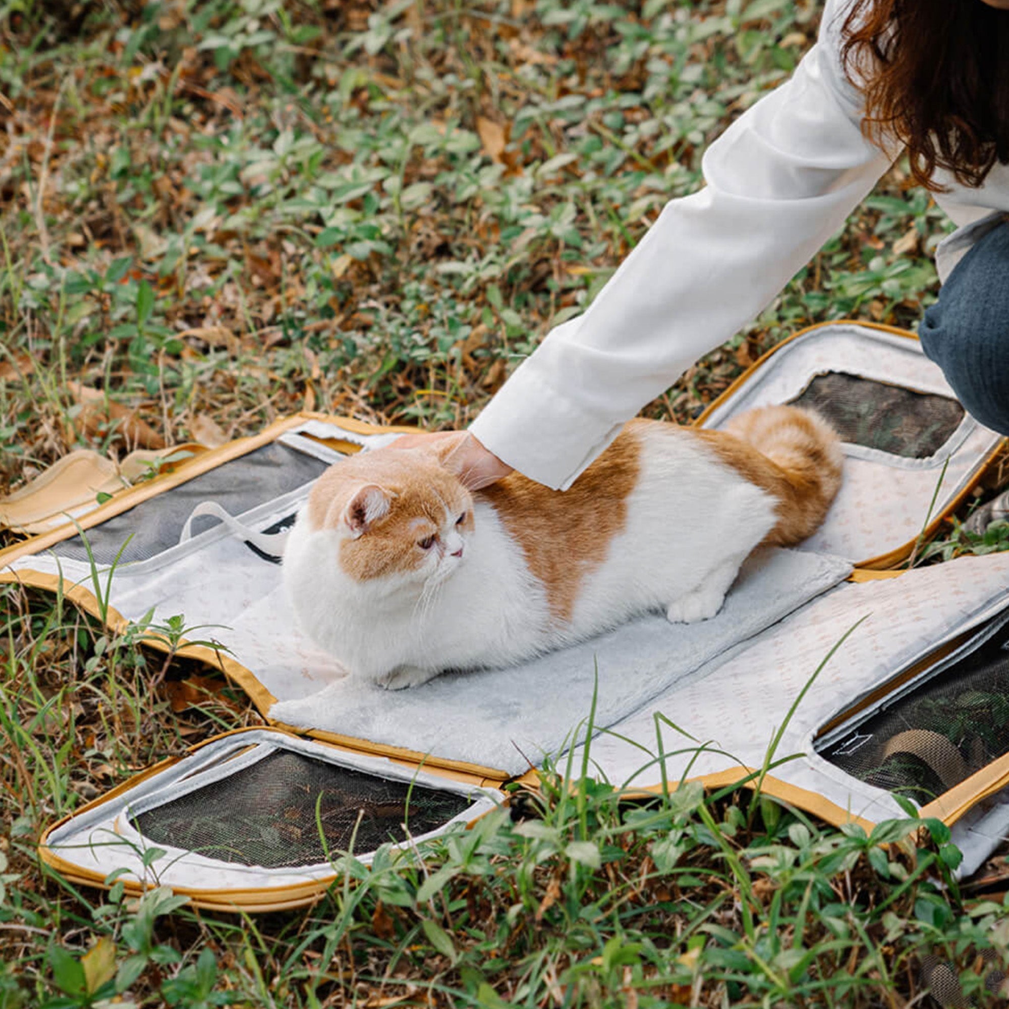 Tragbare faltbare Designer-Haustiertasche, atmungsaktiv, für Katzen, im Freien auf Gras.