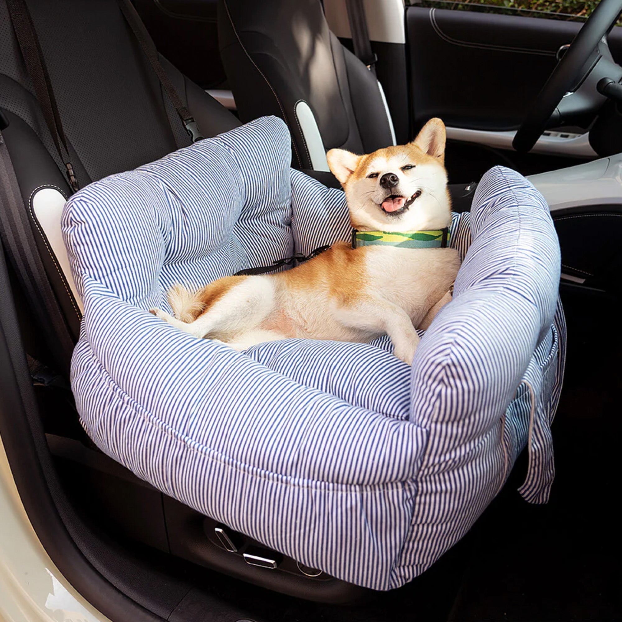 Großes gestreiftes Hundebett im Auto, tragbar, bequem, für Reisen und Ausflüge geeignet.