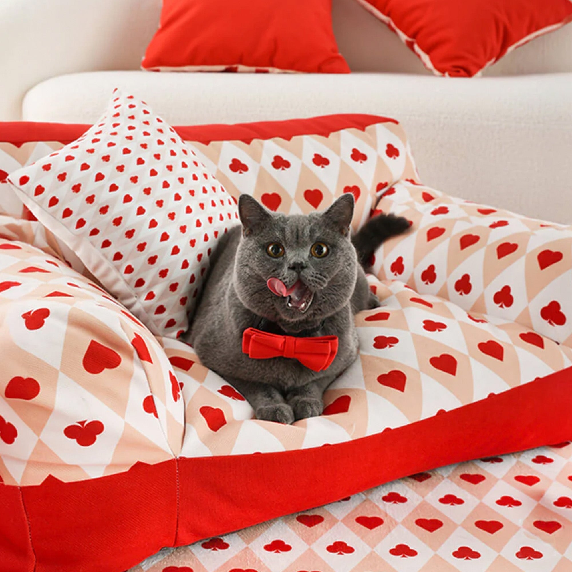 Graue Katze auf rotem Herzmuster-Haustiersofa, Poker-Design, mit roter Fliege.