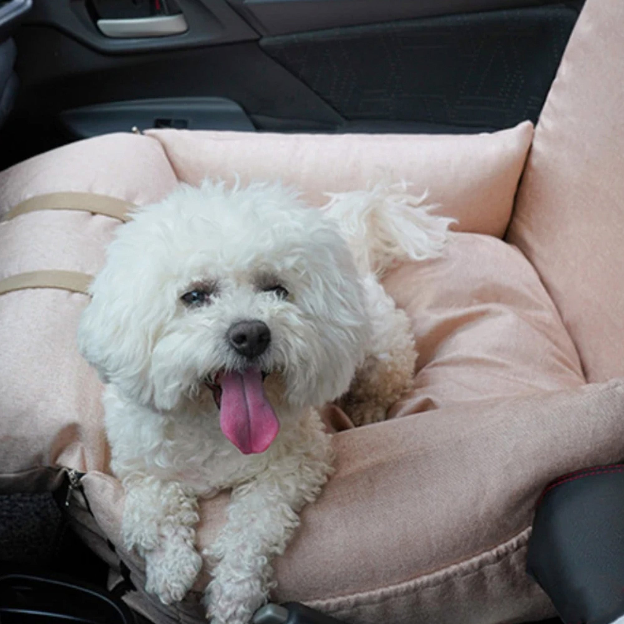 Weißer Hund in orthopädischem, multifunktionalem Autositz für Haustiere im Auto.
